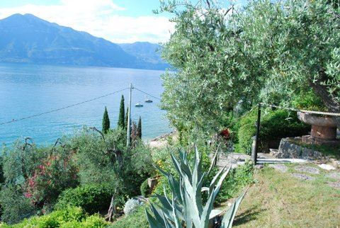 Seeblick 1 Malcesine Hotels Achtung Existenzgr�nder - Gardasee Nord - N�he Malcesine, Hotel Garni, 50 m zum Gardaseeufer - Wasser & Hafen entfernt!
