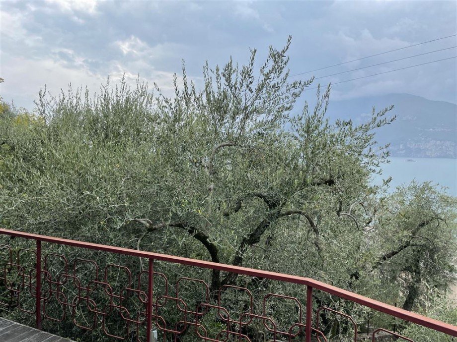 Balkonseeblick (2) Villa Brenzone