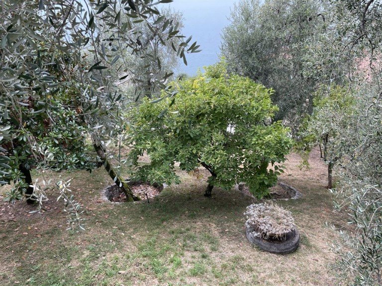 Balkongartenblick Brenzone Villa Porto di Brenzone Gardasee Villa 400 qm Wohnfl�che mit Seeblick, sowie Seezugang!